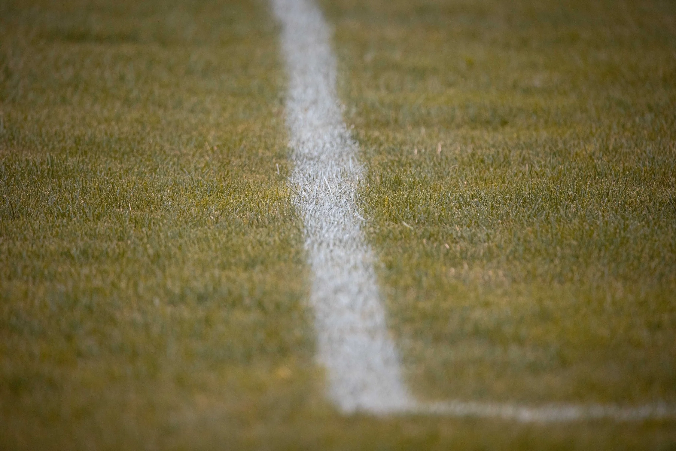 Sunday Update - 9th May 2021