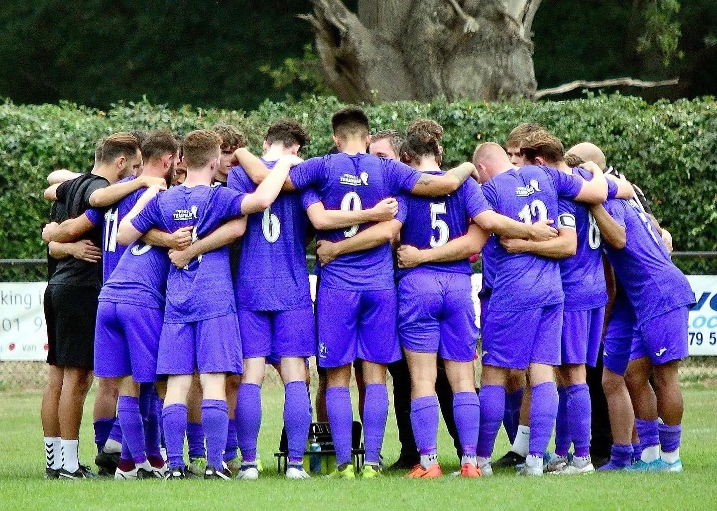 Brockenhurst Preview - 