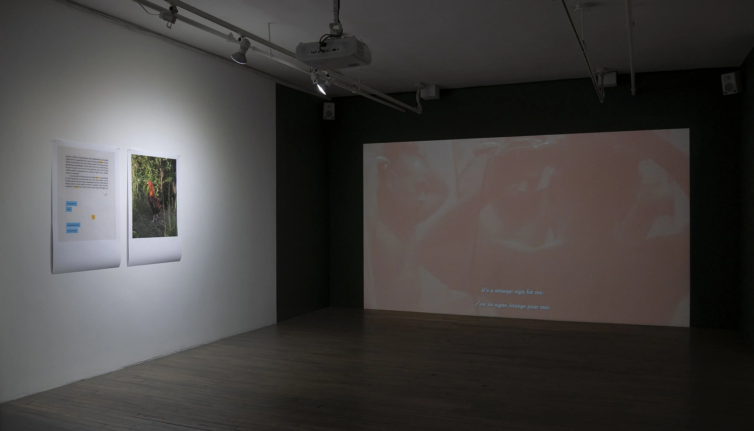   SBC Gallery of Contemporary Art , Montréal | June 3 - July 5, 2025.  Image courtesy of SBC Gallery 