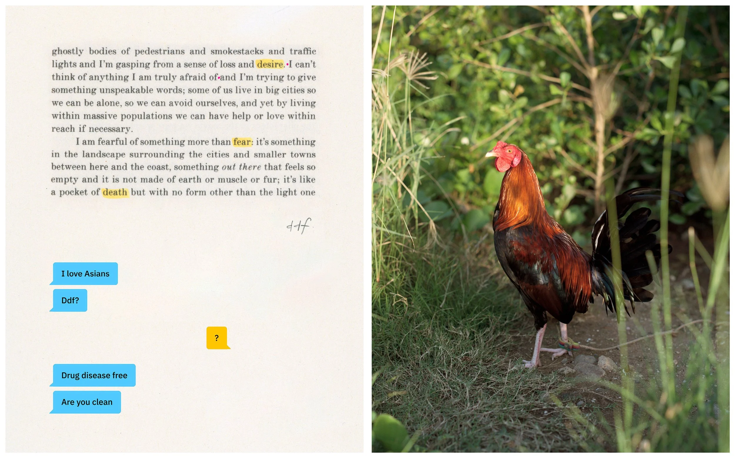 DDFroosterdiptych FINAL_Jan2026.jpg