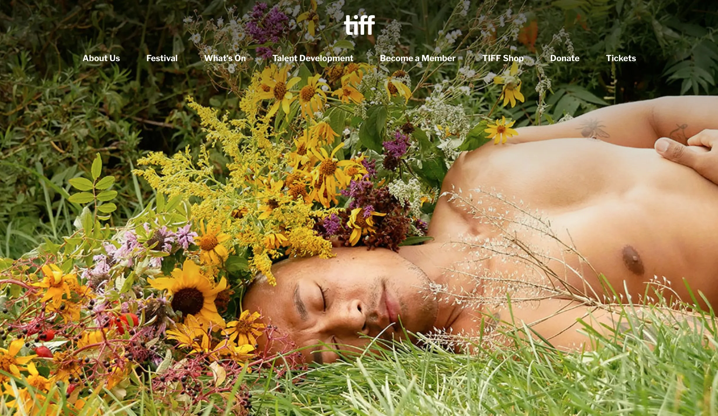    Viral Interventions  , TIFF Lightbox | Day With(out) Art 2024. 