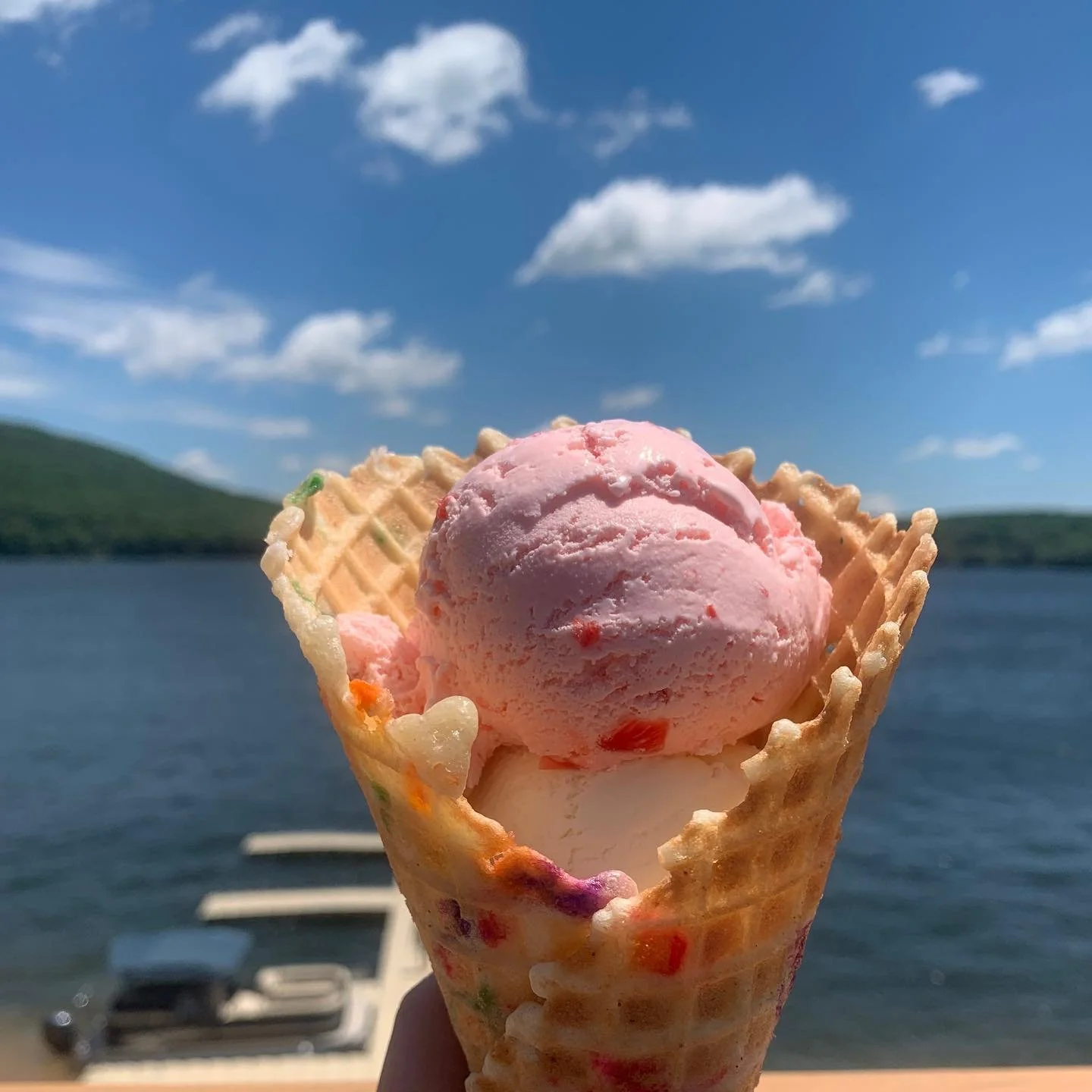 65865038_10157323231203194_9216055091914604544_n.jpg