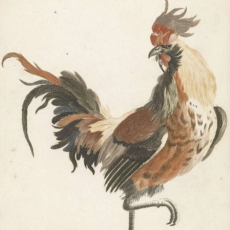 ROTISSERIE CHICKEN