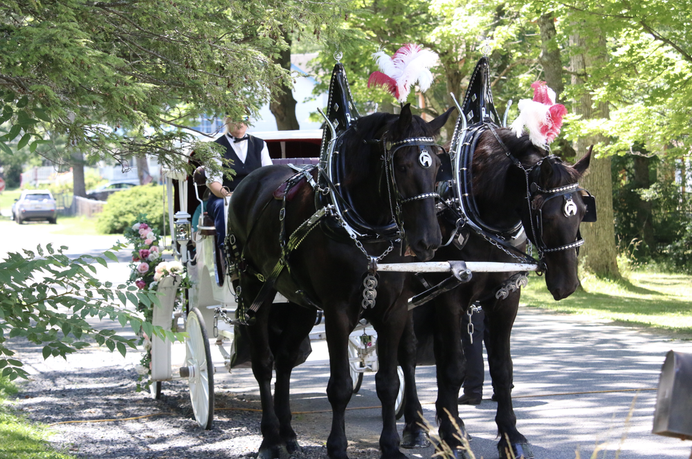 Screenshot 2024-07-09 at 5.11.09 PM.png