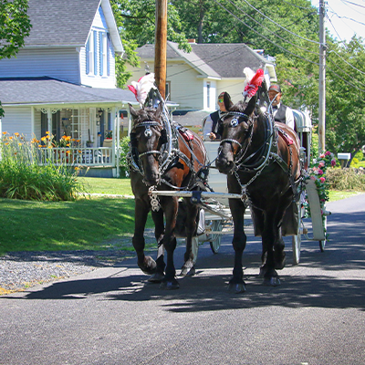 FREE CARRIAGE RIDES
