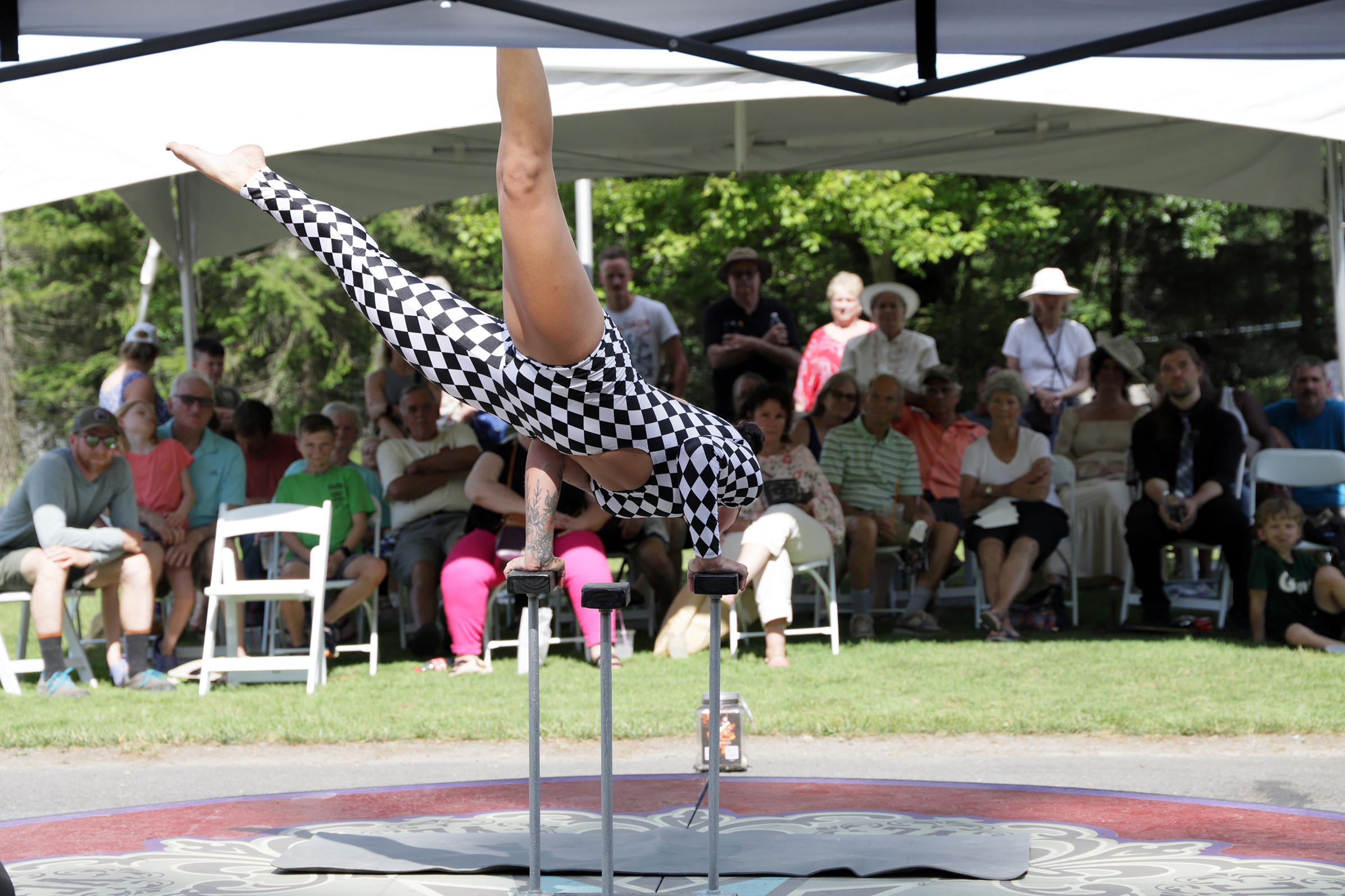 Acrobatics by Alison Wonderland
