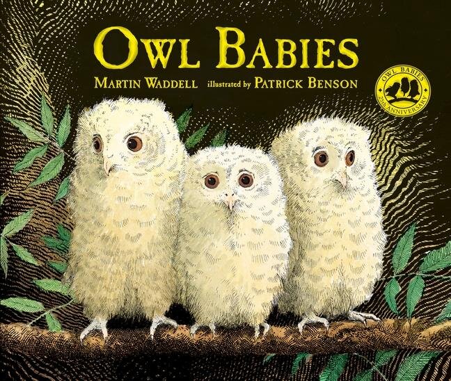 Robyn-McGrath-Bibliotherapy-Owl-Babies.jpg