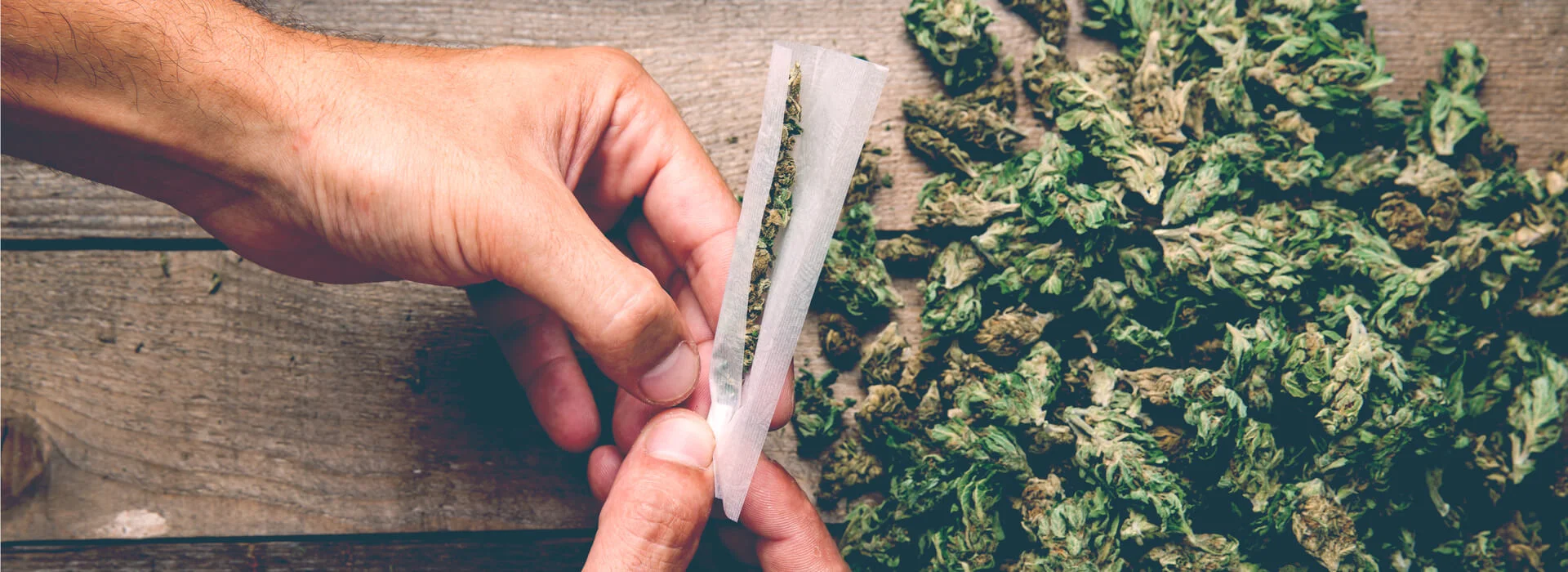 New England Cannabis Convention 2017