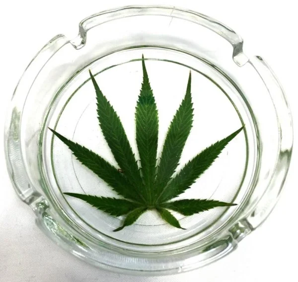 NEXT UP: GrassTrays!