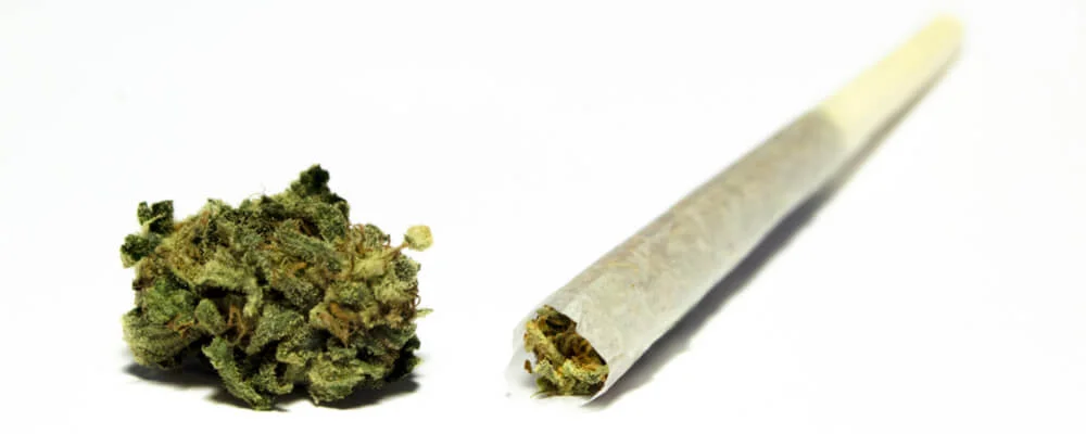 Learn How To Filter Your Joints