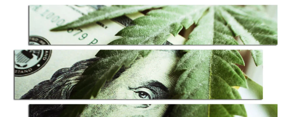 Hottest Jobs In The Weed Game!