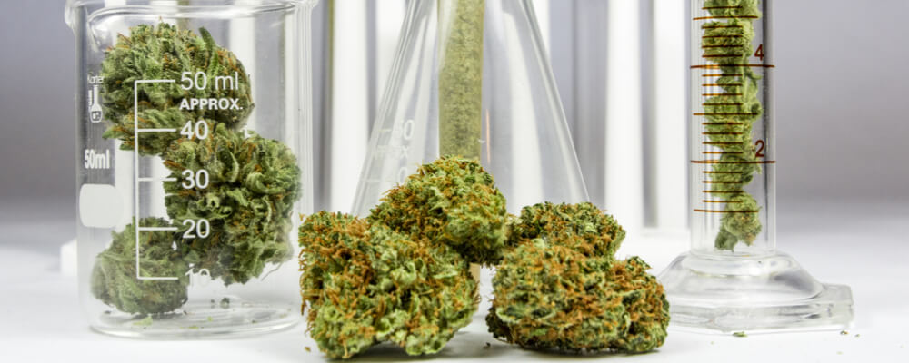 Cannabis Testing at ASU