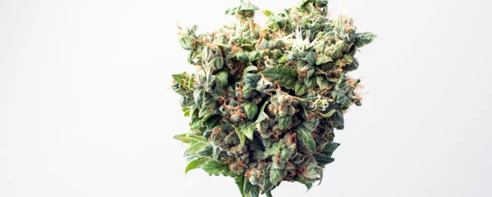 What makes your "Loud", Loud?