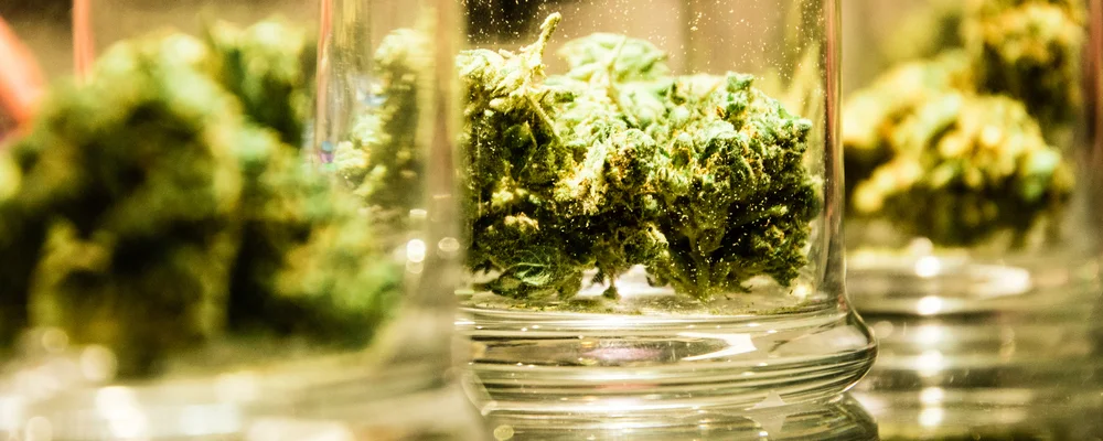 Carbofuran: Illegal Marijuana Pesticides