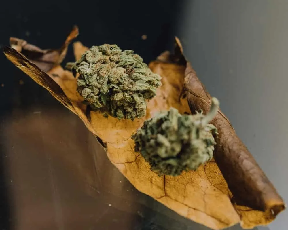 How to Roll Fronto Leaf with Flipp Dinero