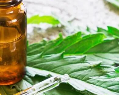 How to Make Cannabis Tinctures in Your Own Kitchen
