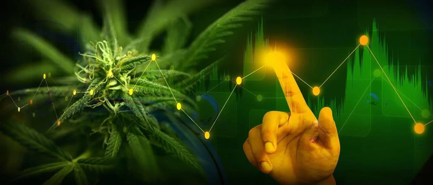 Pointers on Growing Hemp