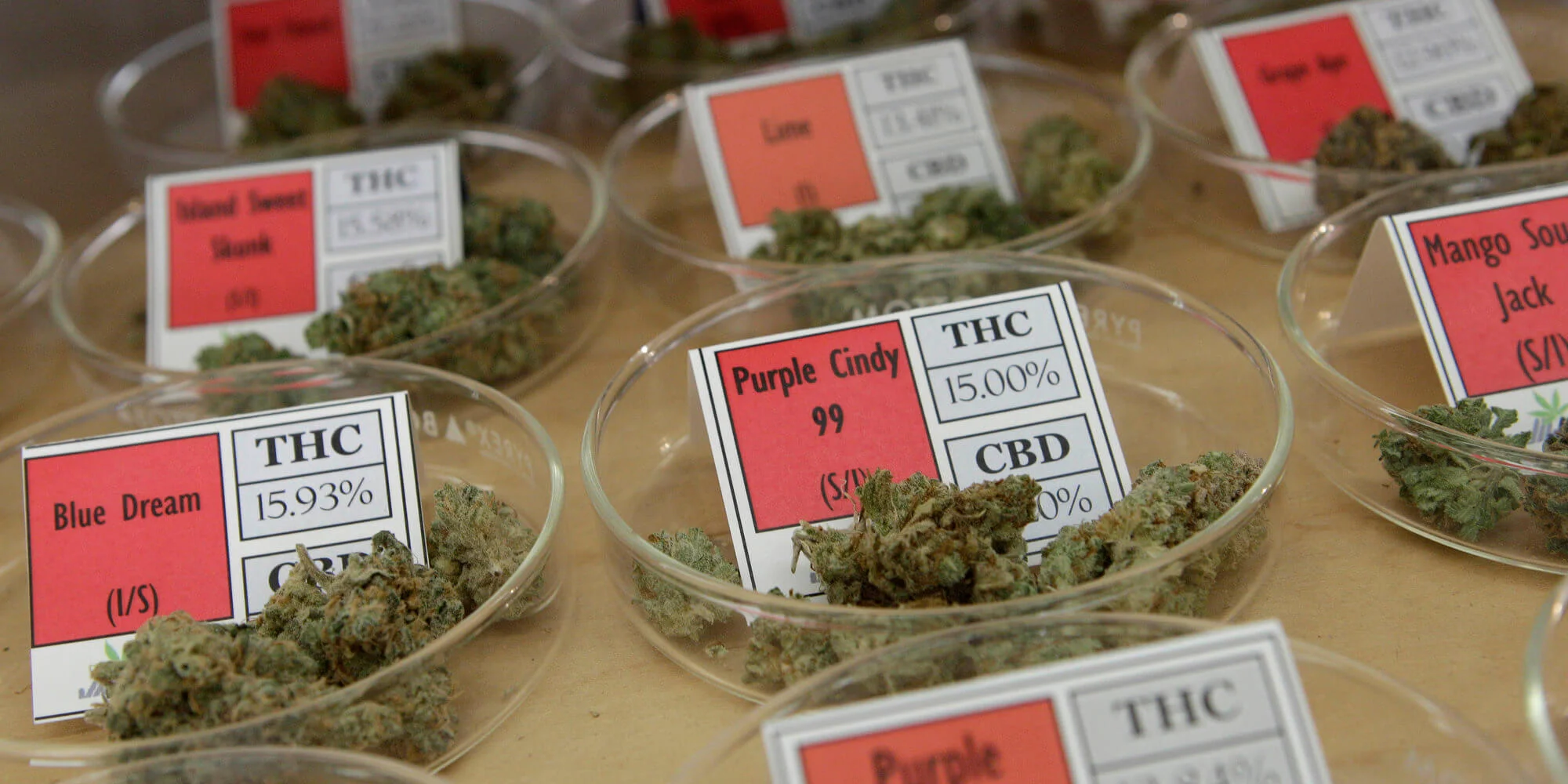 Best Marijuana Dispensaries NYC - Registry Guide