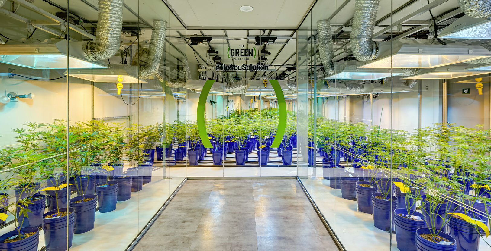 recreational weed dispensary Denver Colorado — US Marijuana Dispensaries