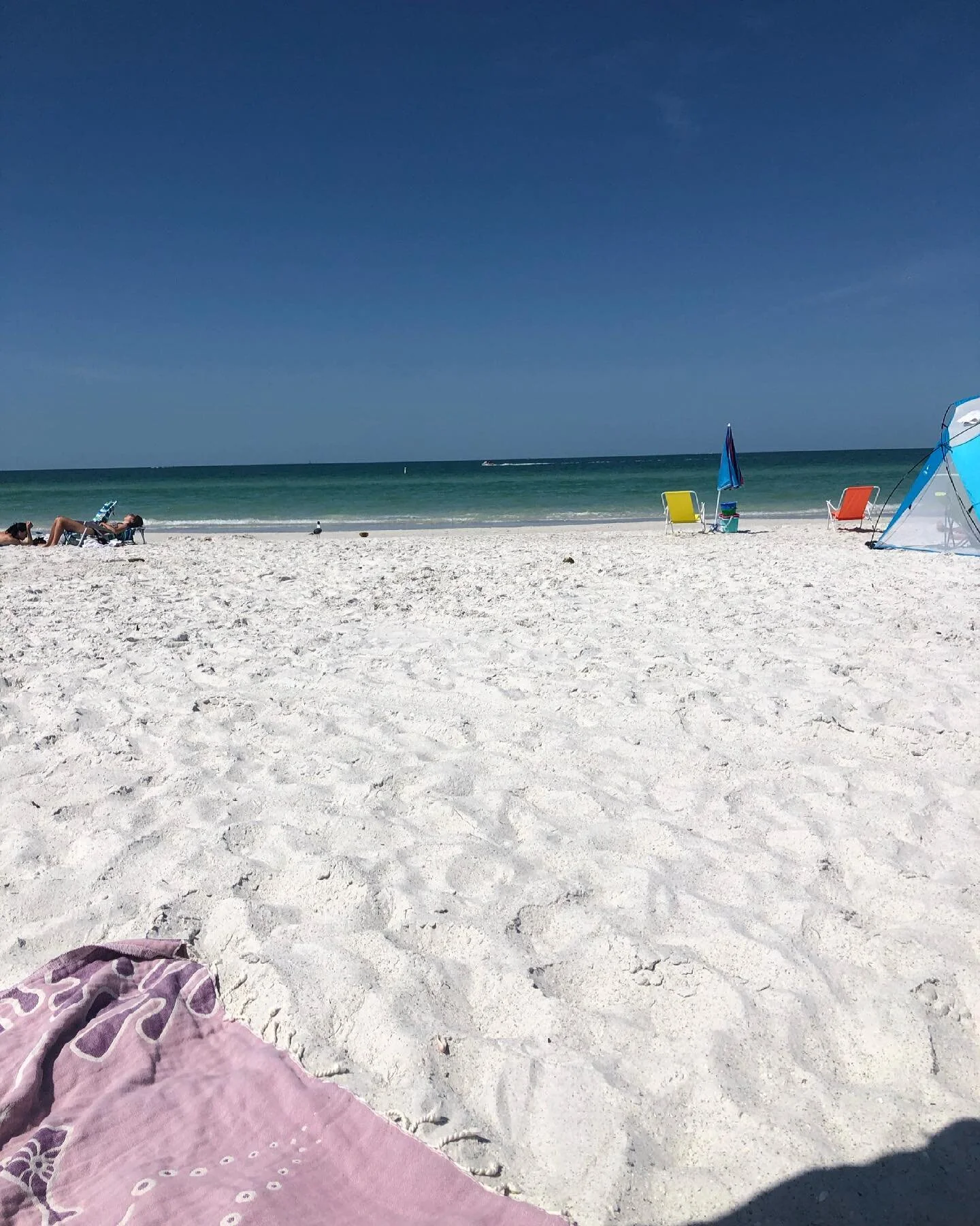 The freedom in Florida felt like going back to 2019. I miss it already.