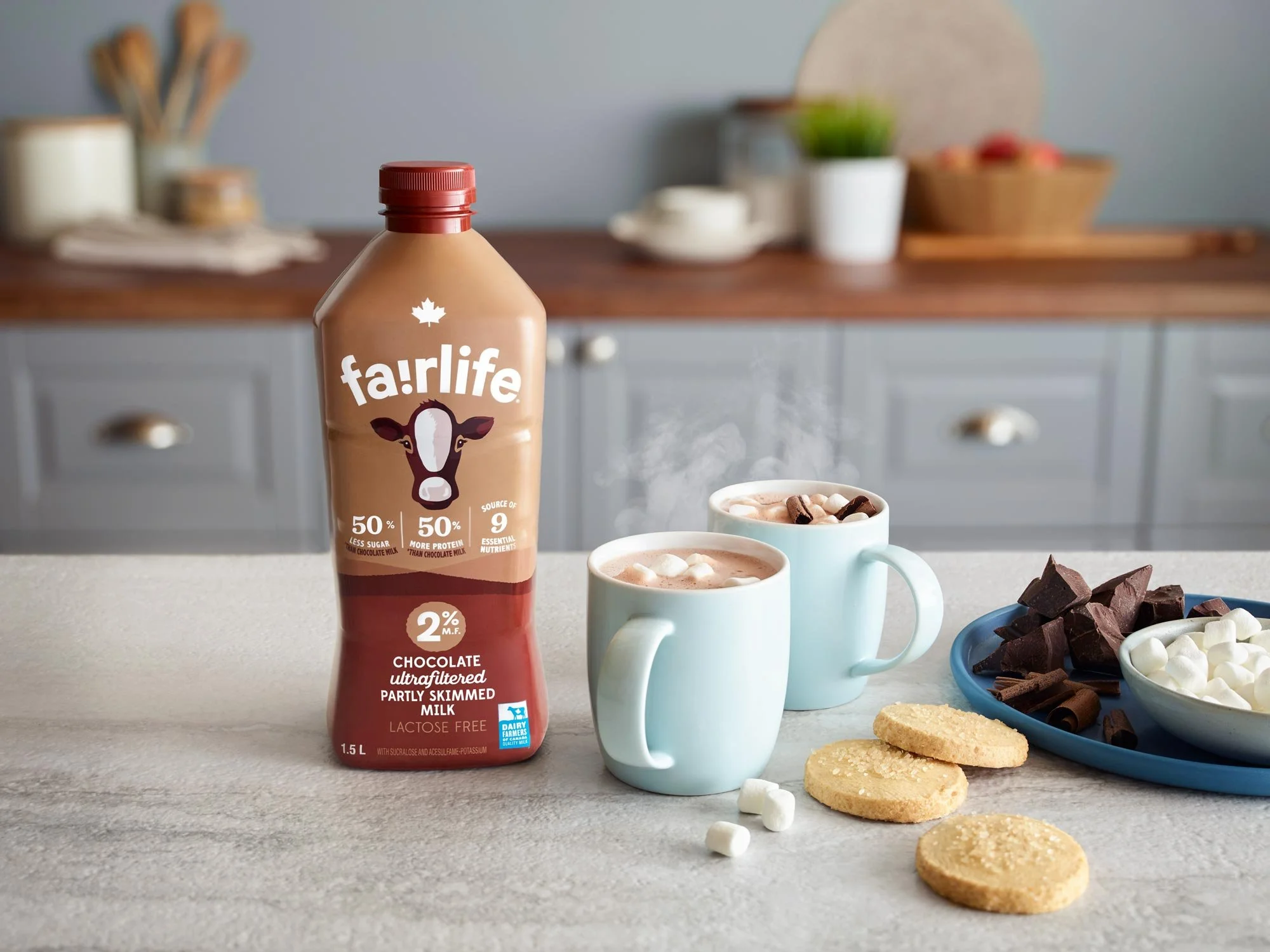 2064_Fairlife_2%_Chocolate_HotChocolate_EN_v3.jpg