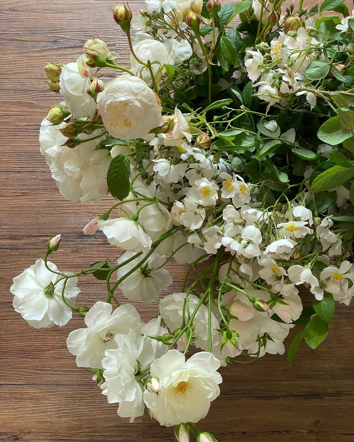 Garden roses harvested the morning of an event. I&rsquo;m so proud of what our little flower farm has produced over our past flower season and I&rsquo;m excited for our season to begin again in August. 

Fingers crossed (if Mother Nature plays the ga