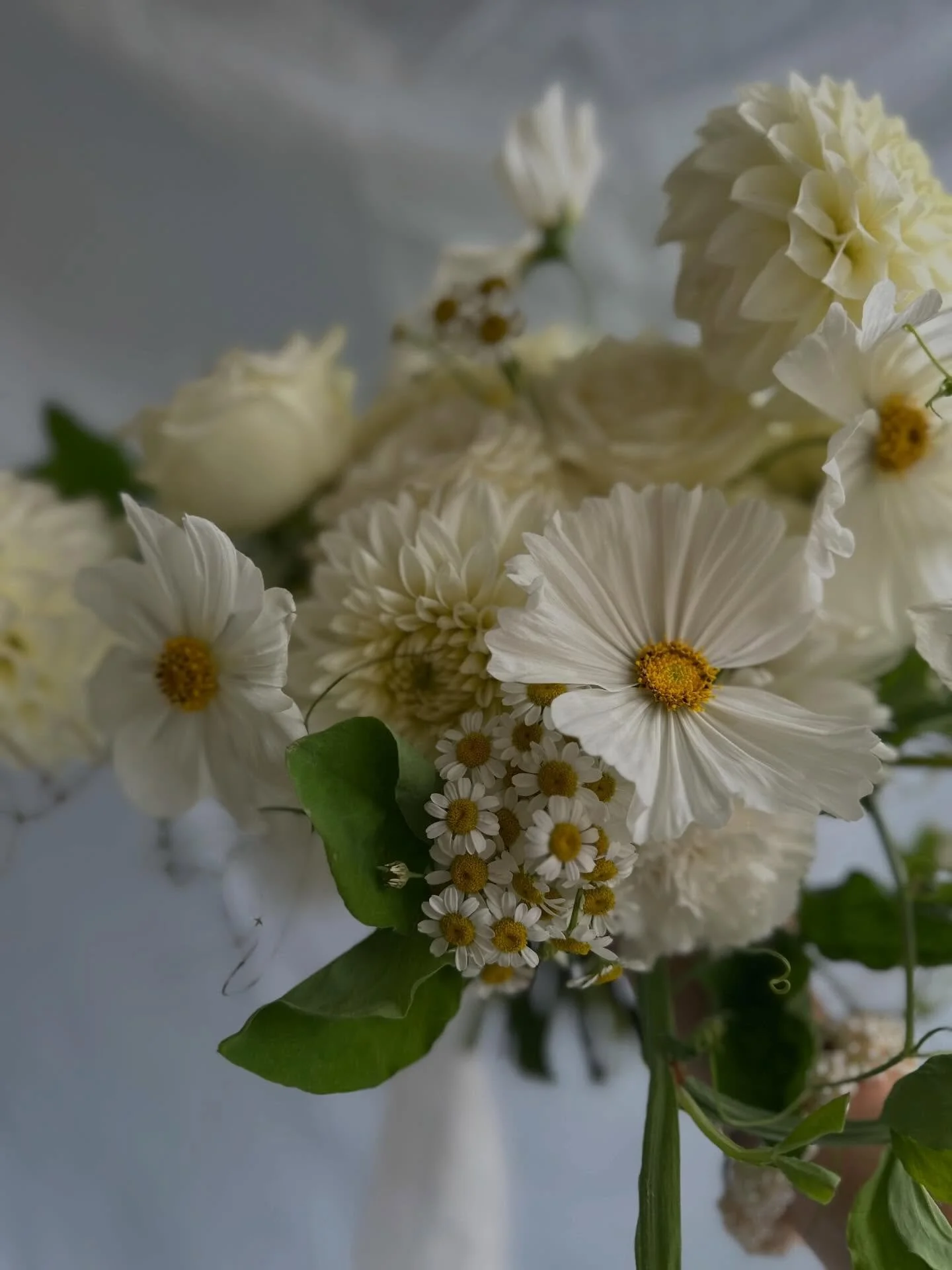 It was with the greatest joy that Rachel trusted me to design her wedding bouquet. Together, Rachel and Rob grew flowers for their wedding day. Each bouquet I design captures a moment in time and I hope every year when the dahlias bloom in their gard