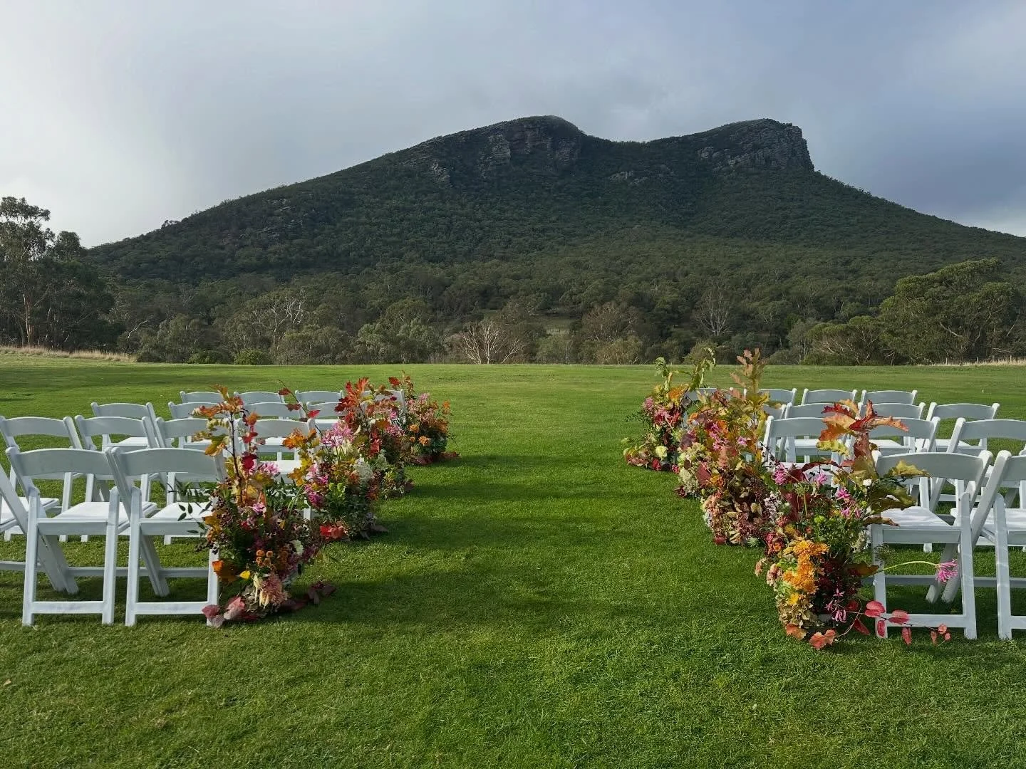 Mount Sturgeon in all her glory for Hilary and Sam.
Composed of autumnal stems of maple, nerines, chrysanthemums, hawthorn berries, grapevine, chocolate lace and kale. 

@royalmailhotel 

#dunkeldwedding #mountwilliamstationwedding #warrnamboolweddin