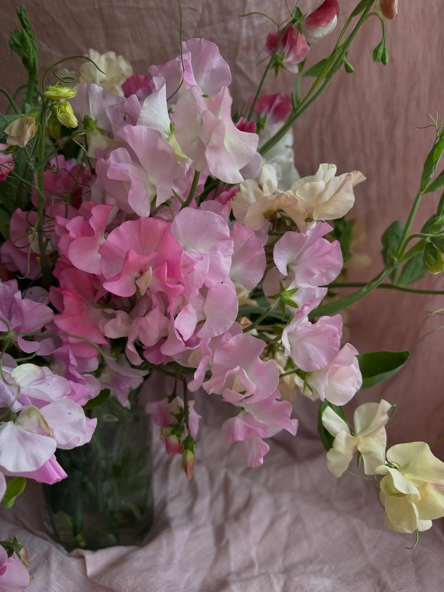 The beautiful rain this week has been a welcome sight on the farm.

With the soil freshly watered and the air carrying that unmistakable scent of winter rain, I'm excited to spend my weekend planting sweet pea seeds for the season ahead.

Sweet peas 