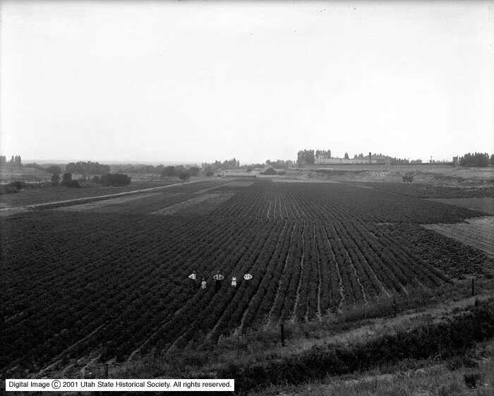 History — SUGAR HOUSE PARK