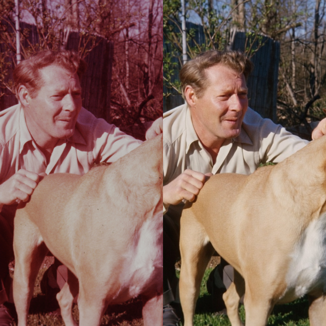 Comparison of the same man and dog in two photos, left photo has a reddish hue, right photo has natural color, Before and After, nobles Imaging Lab, Hingham and Plymouth