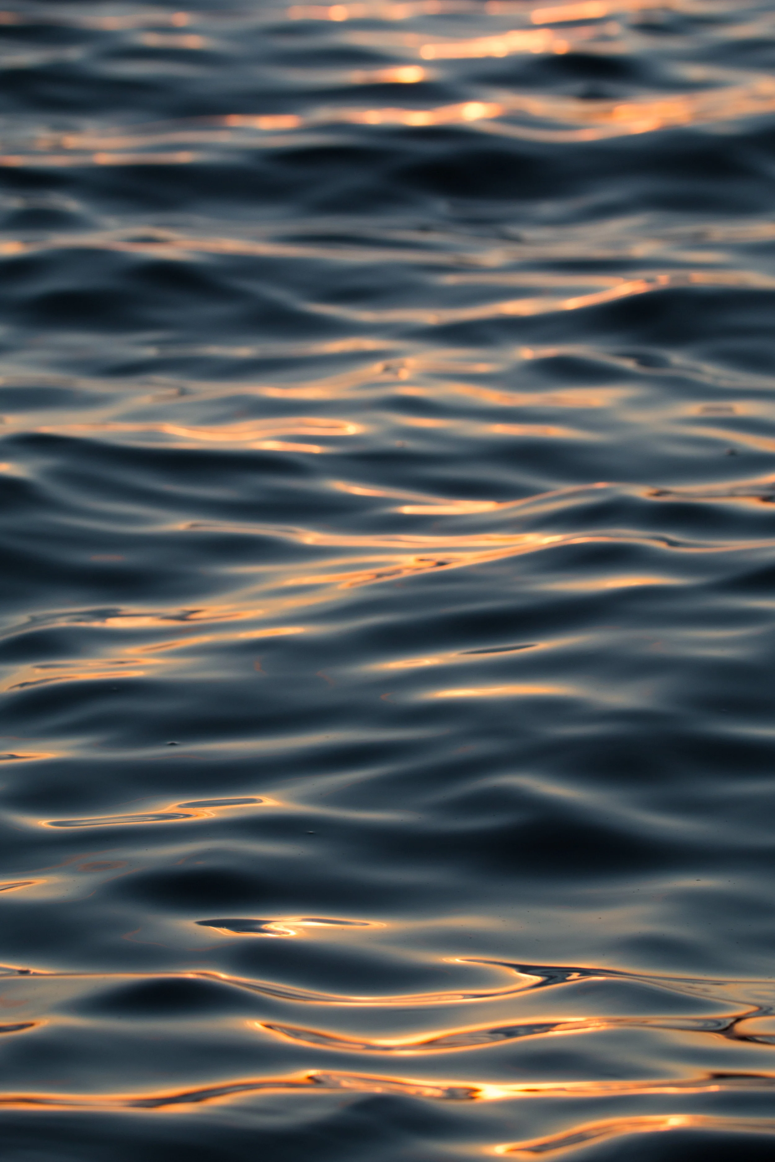 What is Mindfulness?