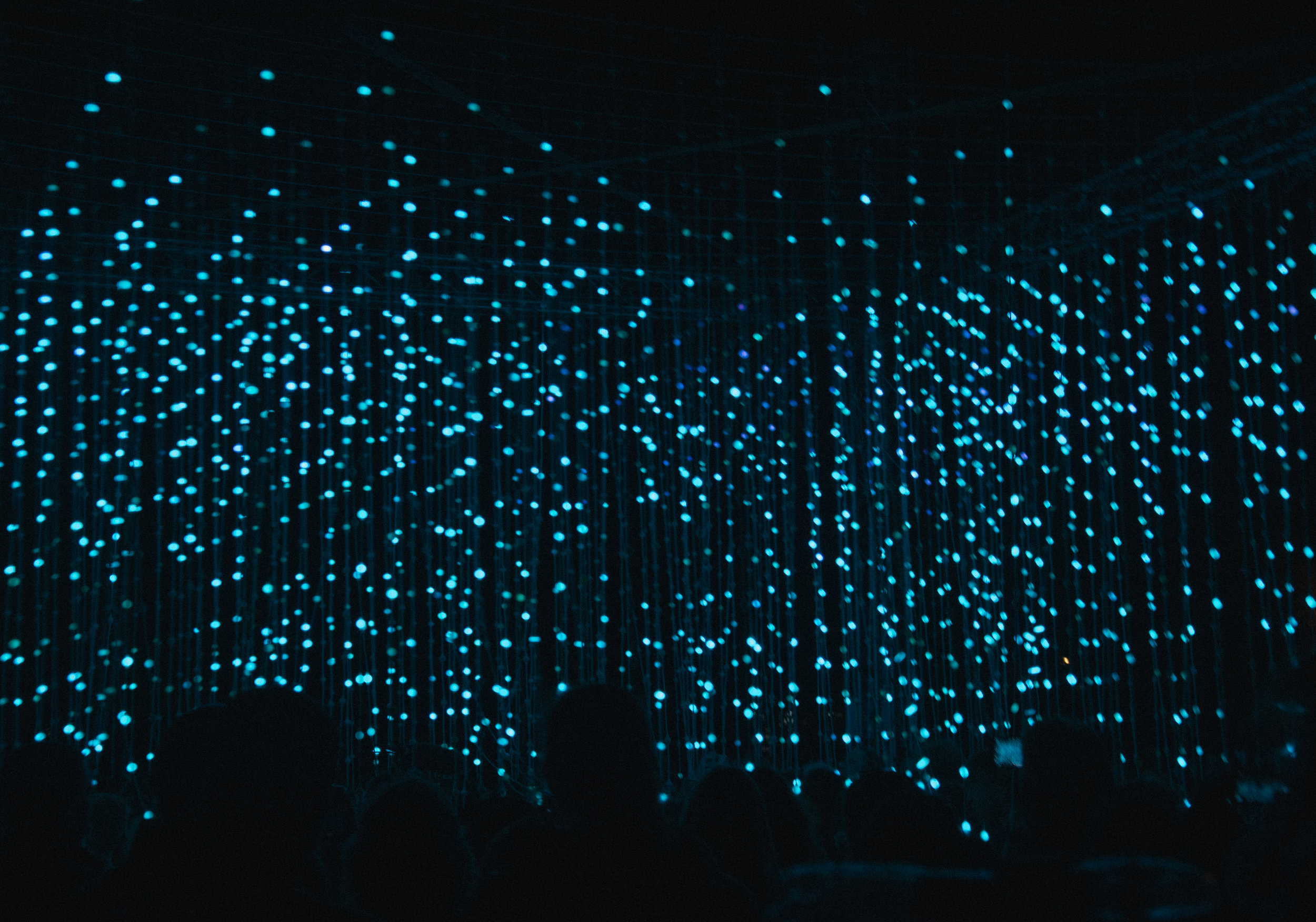 People, we have liftoff. Brace yourselves for the reversion of your body's epigenetic clock.