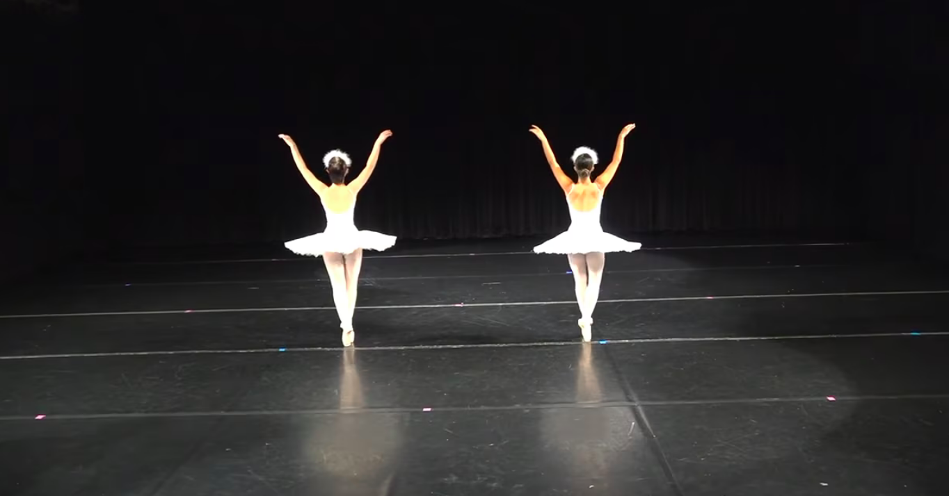 The Swans