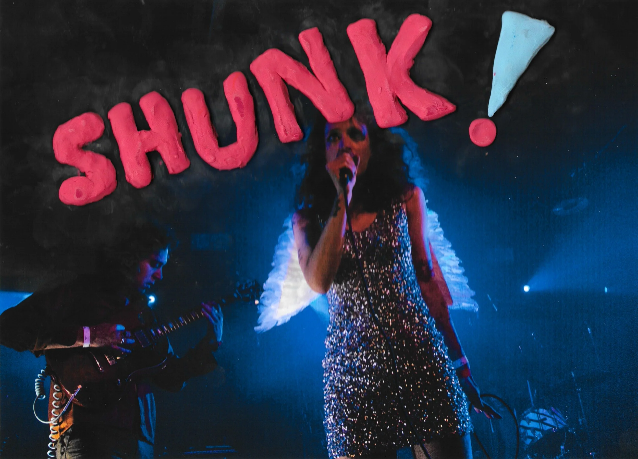 Shunk 1 .jpg