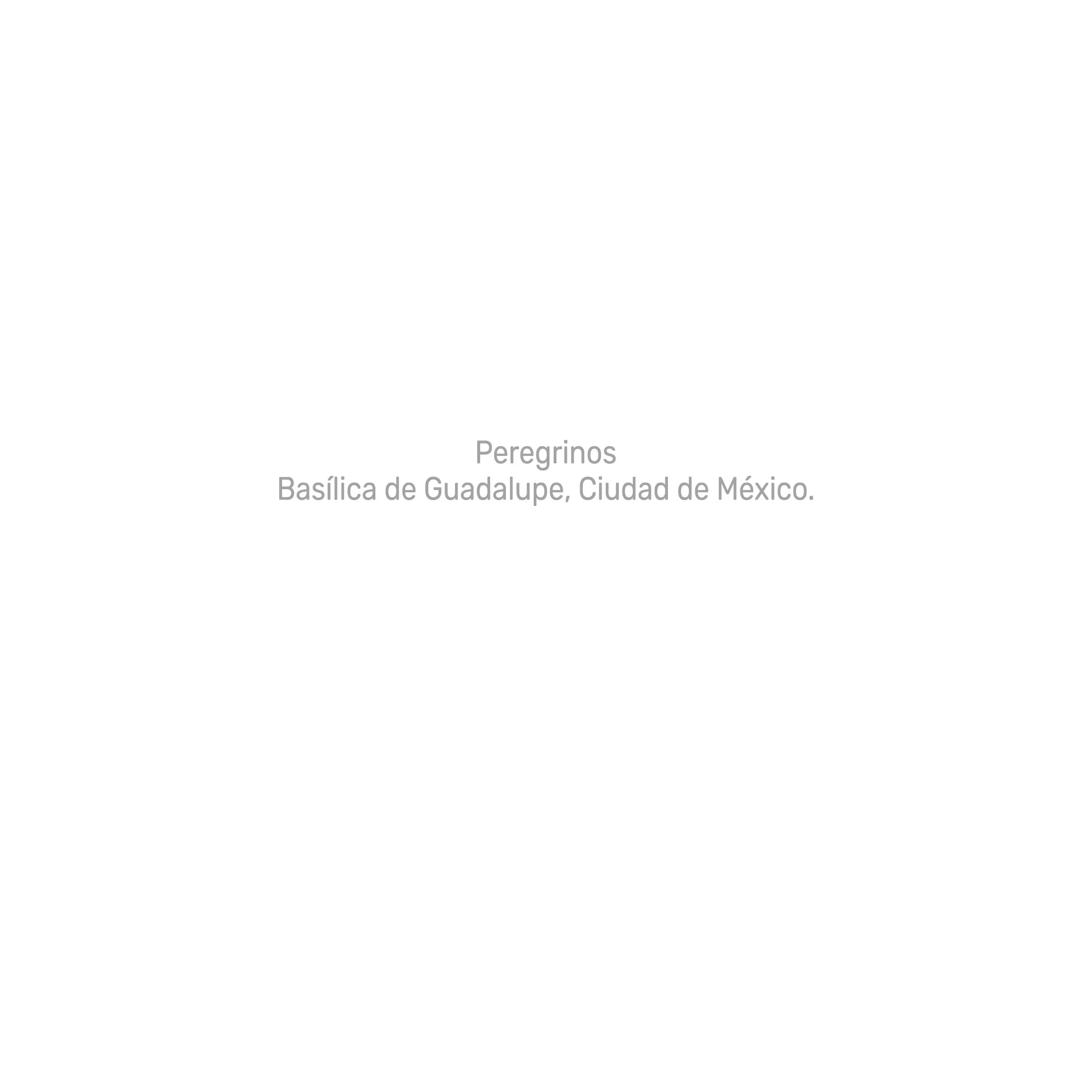 peregrinos.jpg