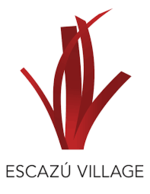 Webp.net-resizeimage (4).png