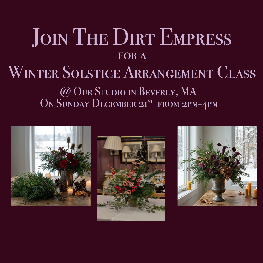 Winter Solstice Class 2025 - post.png