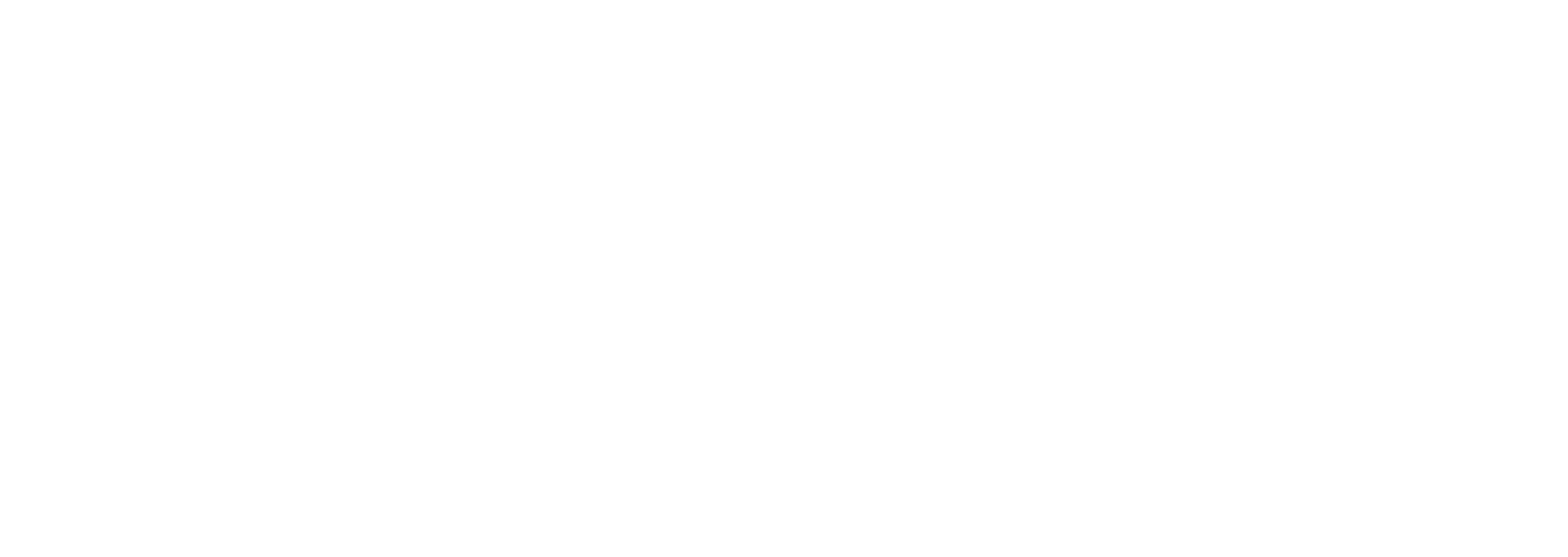 Ryan T Lin
