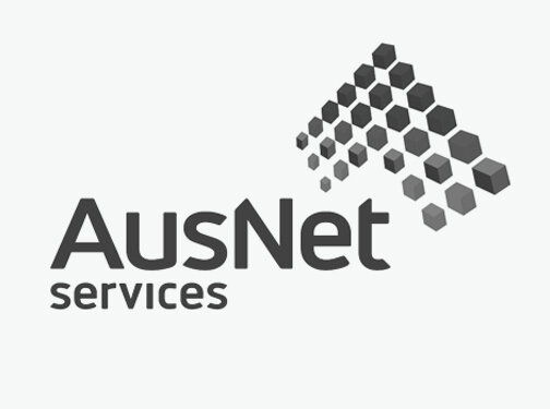 Erg_ClientLogos_Ausnet.jpg