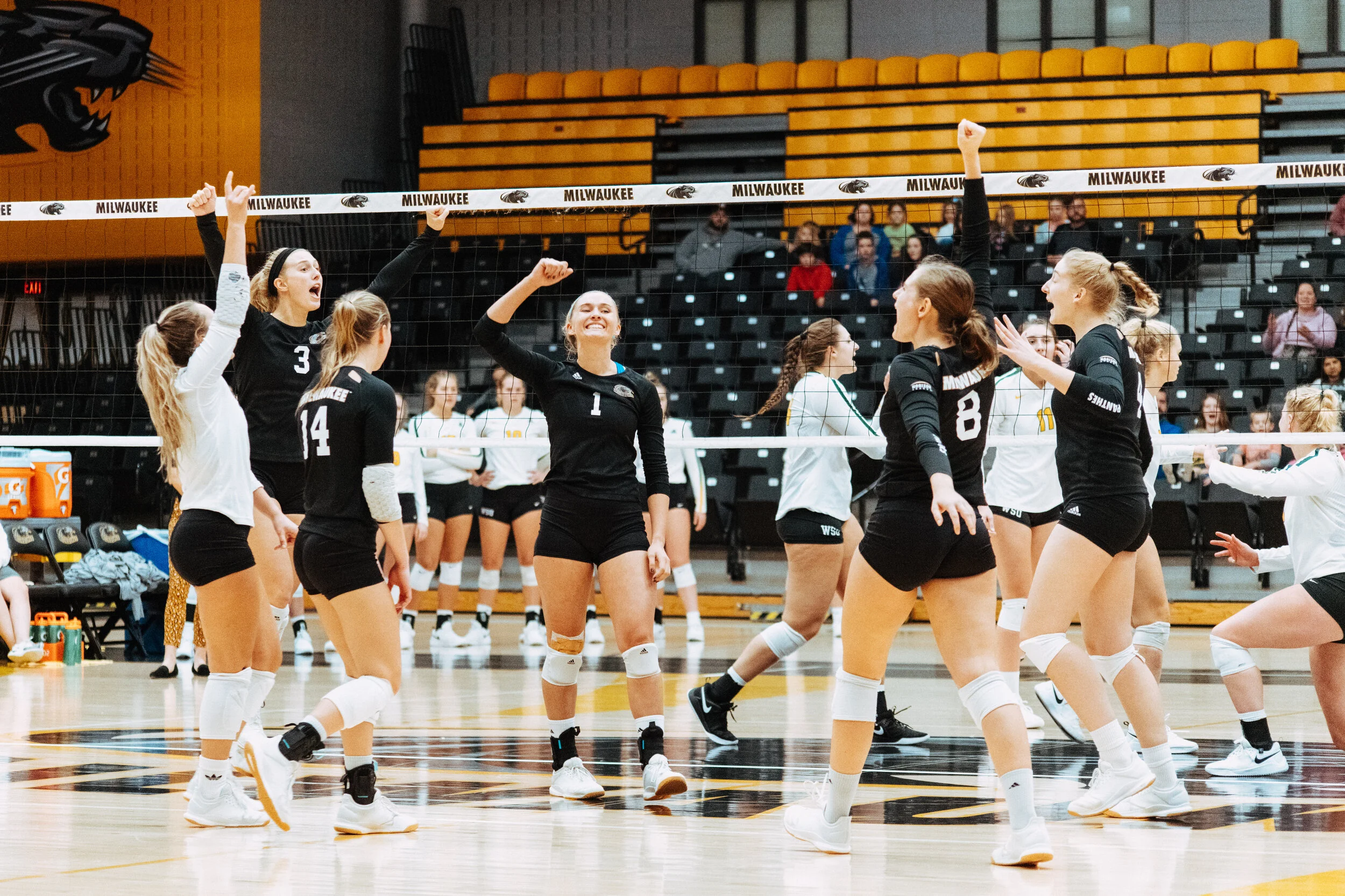 volleyball-1-24.jpg