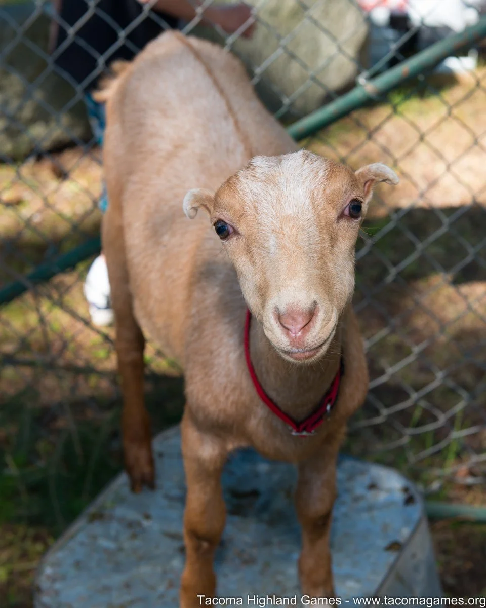 DSC_7479.JPG