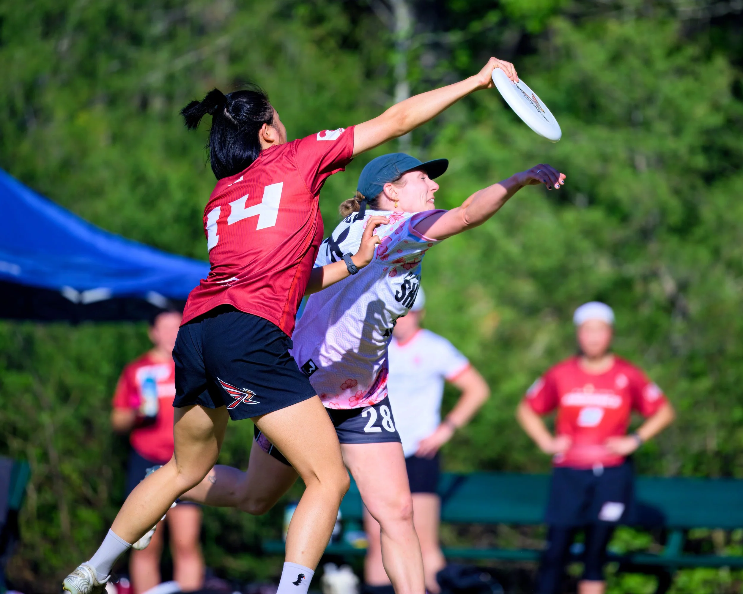 rr_dsc0502_55203921879_o.jpg