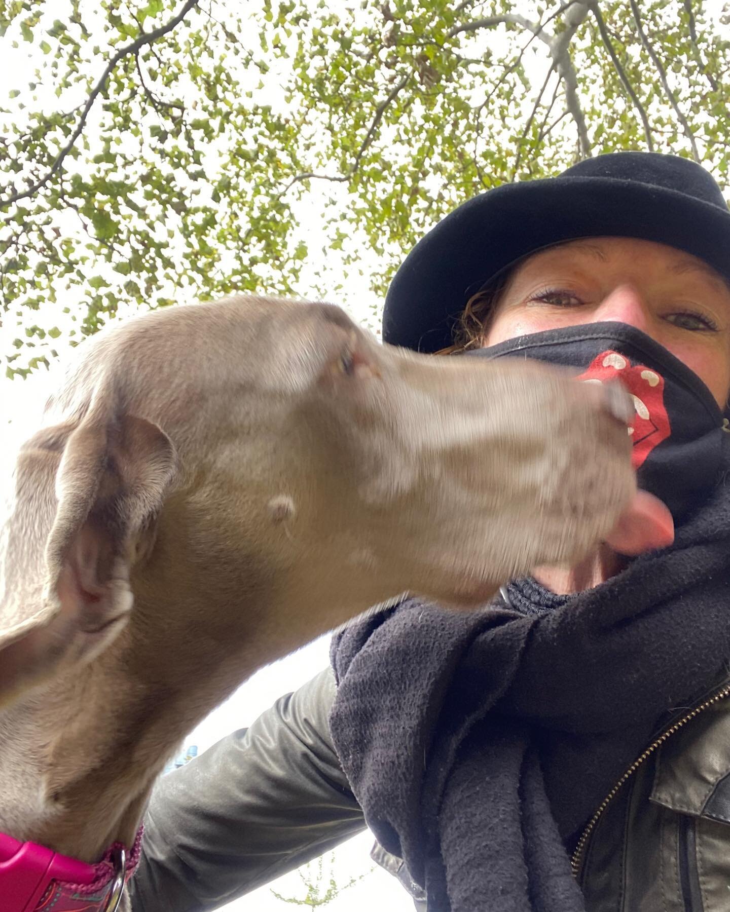 Cala kisses are the best. #dogwalker #southenddogs