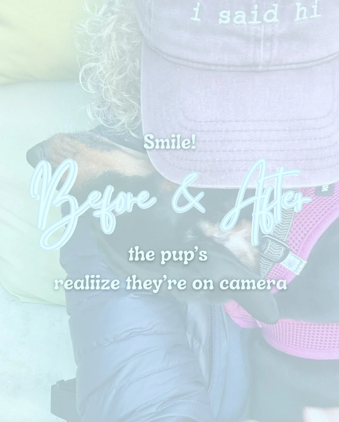 Smile! You&rsquo;re on camera 📸 We&rsquo;ve got some pretty great models 🤭 
-
Steph&rsquo;s City Strolls pups before and after they realizes they&rsquo;re on camera! 

-
-
-

#beforeandafter #bostonlocal #bostonpups #bostonsmallbusiness #instagramc