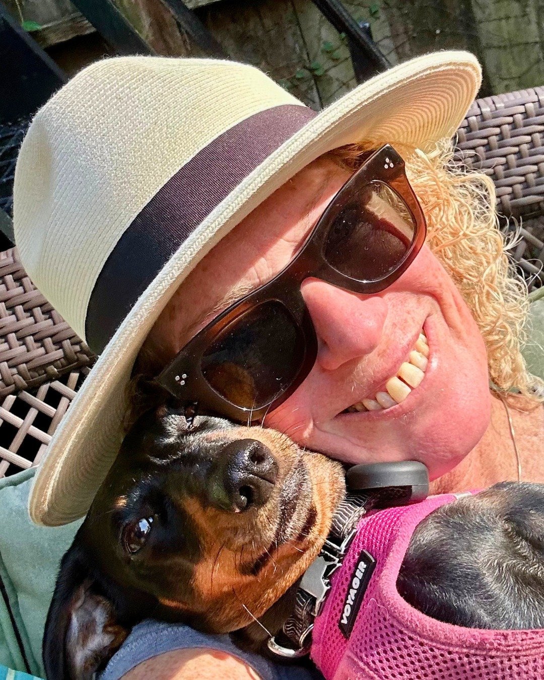 With some new folks here, we wanted to reintroduce Steph! 🤍 Pro dog walker, playmate, and cuddle buddy 🥰 We love you, Steph! 

-
-
-

#smallbusinesslove #womenowned #meettheteam #femaleled #dogwalker #doglover #bostonlocal #doxielove #puppycuddles