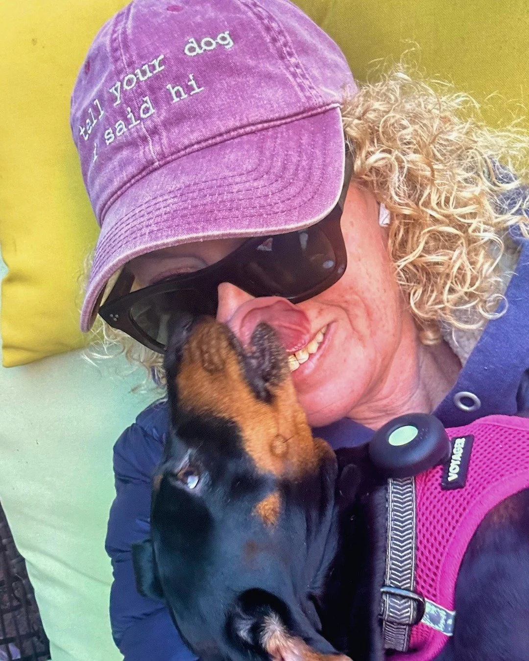 Caught on camera! 😝  If this doesn&rsquo;t make you smile, we don&rsquo;t know how to help 😘

-
-
-

#caughtoncamera #toungesout #bostondogwalking #bostondogwalker #citystrolls #dogwalking #bostonbackbay #bostonsouthend #petsitter #stephscitystroll