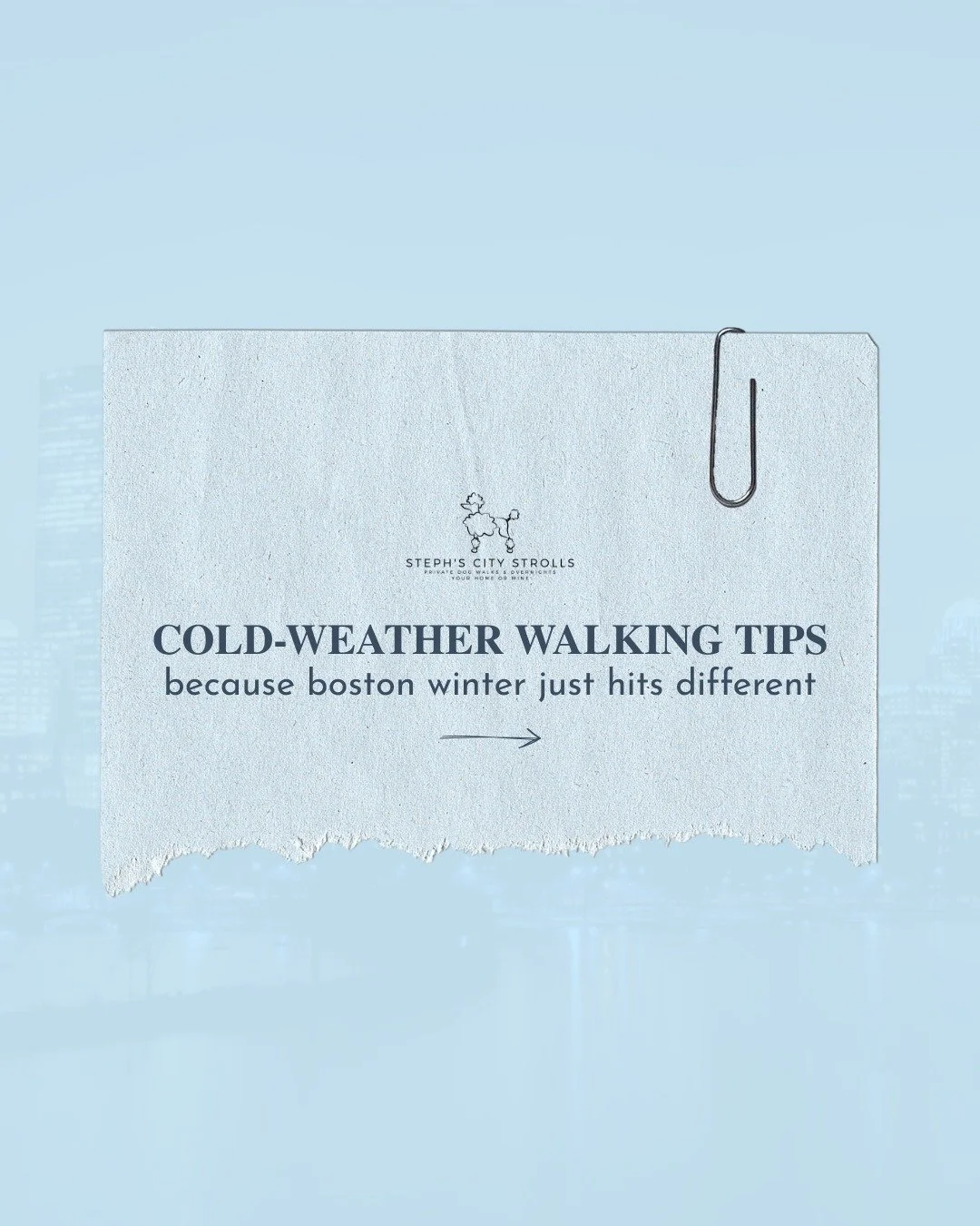 Let&rsquo;s keep the little guys safe this winter 😊 ❄️

-
-
-

#WinterSafetyTips #winterdogwalks #CitySafety 
#bostondogwalking #bostondogwalker #citystrolls #dogwalking #bostonbackbay #bostonsouthend #petsitter #stephscitystrolls