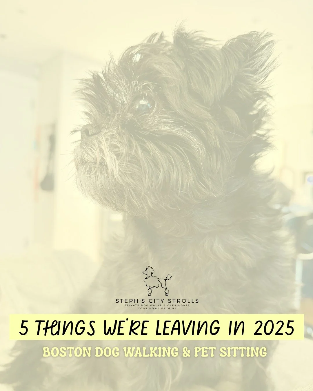 Our energy for 2026: Consistent walks, thoughtful care, happy dogs, and peace of mind 💛

-
-
-

#2026 #happynewyear #happyholidays #dogwalking #dogwalker #dogwalks #bostonlocal #supportlocalbusinesses #bostonsmallbusiness