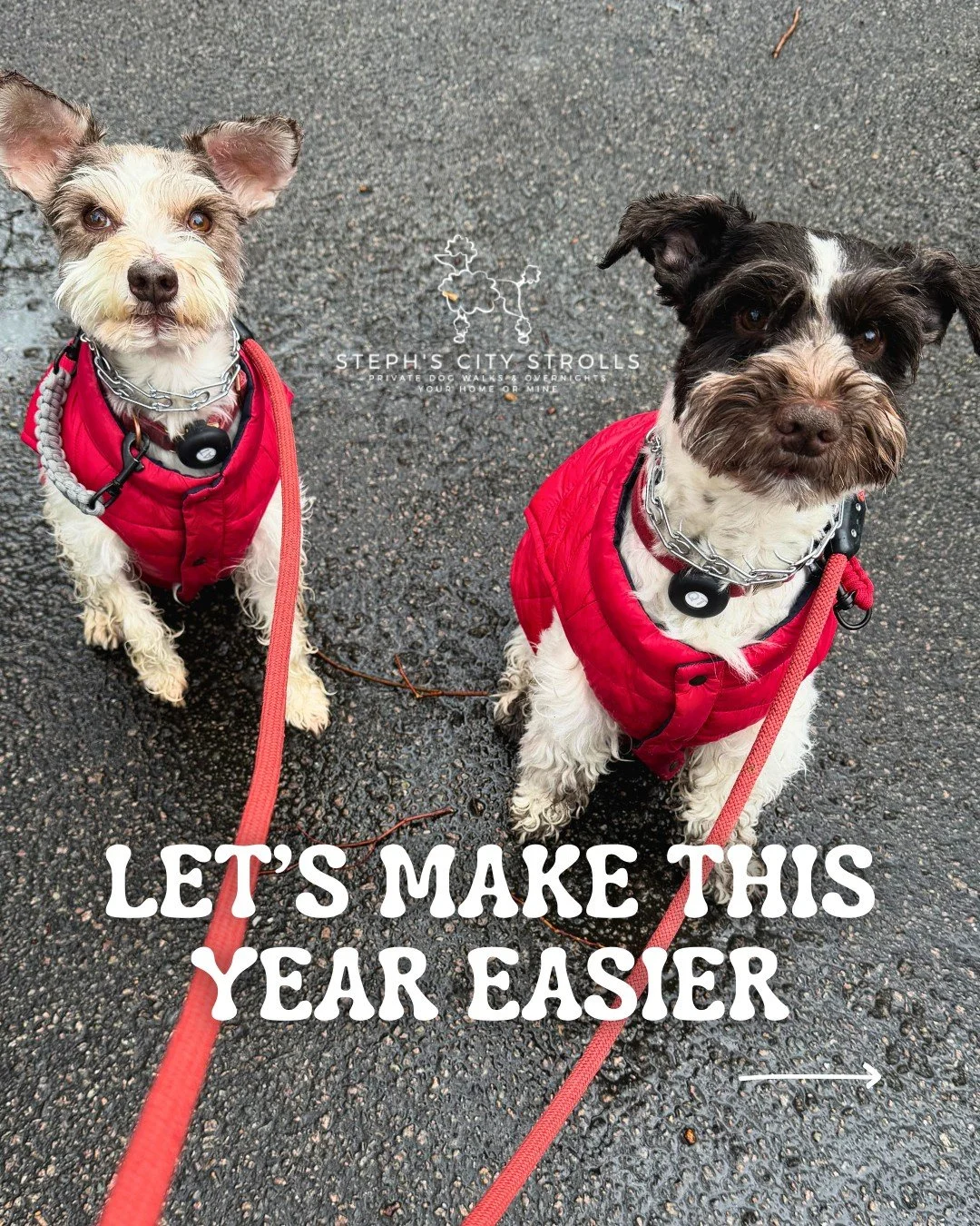 Thoughtful care, for busy lives 🐶 

We&rsquo;re happy to have you here! Whether you're a new pet owner or you&rsquo;ve been bonded for years, their needs are top priority, and we&rsquo;re here to make that easier. 

Let&rsquo;s set up a meet and gre